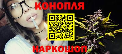 крисы Обь