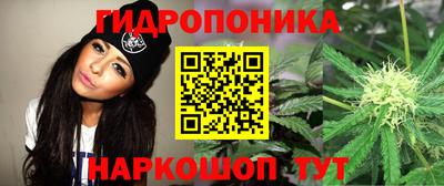 крисы Обь