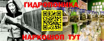 амф Обнинск
